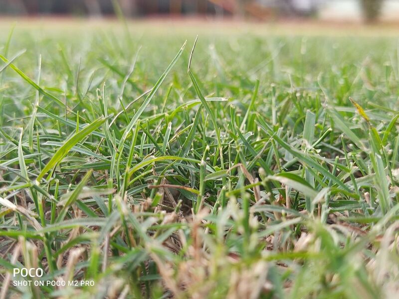 poco m2 pro camera 1