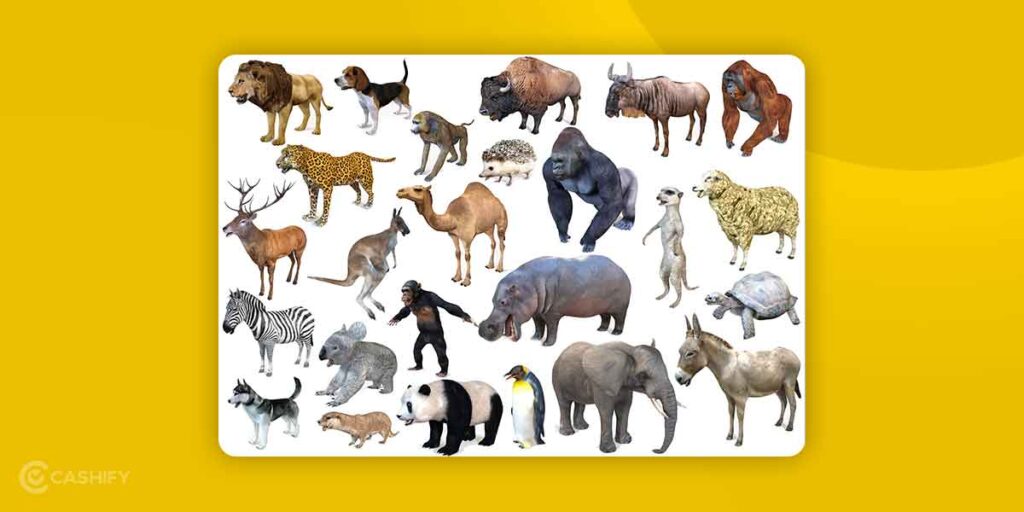 How to Witness 3D & Augmented Reality via Google's 3D Animals Cashify