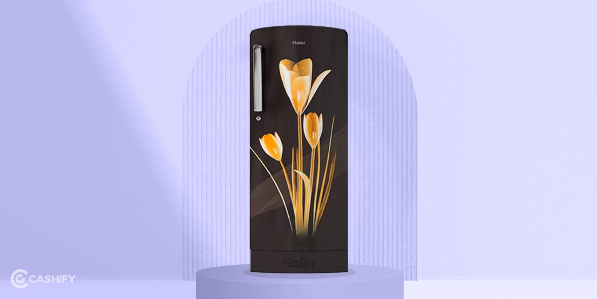5 Best Haier Mini Refrigerators In India October 2023 Cashify