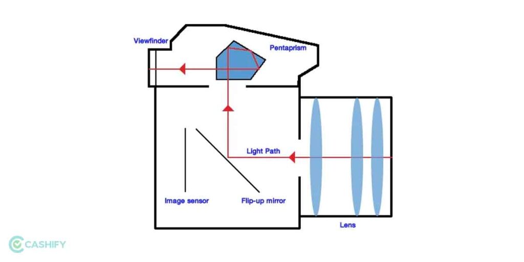 Mirrorless Vs DSLR Camera Let’s Understand The Differences! Cashify