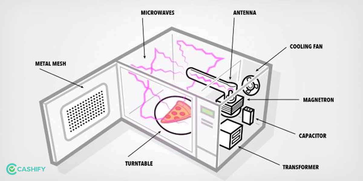 What Is A Convection Microwave Oven? Cashify Blog