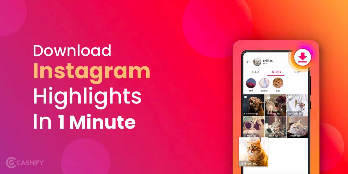 Instagram Story Video Download