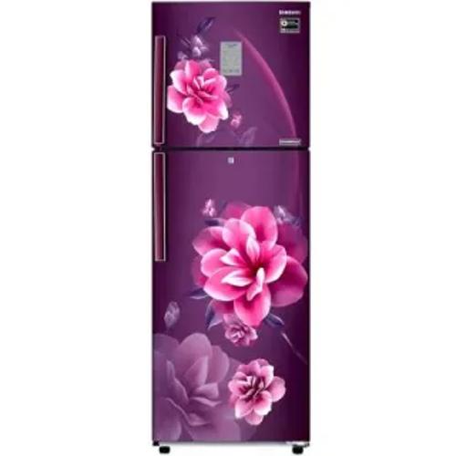Samsung RT28C3922CR 236 Ltr Double Door Price in India