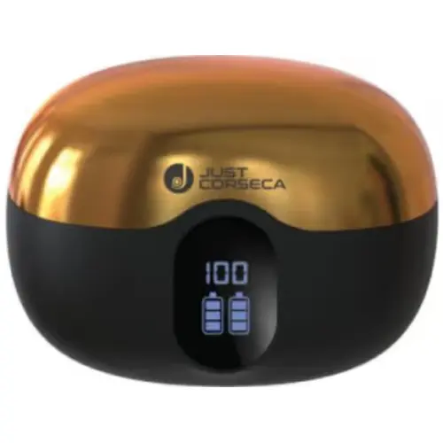 Just Corseca Stanley Price in India, Specifications Features